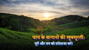 चाय के बागानों की खूबसूरती