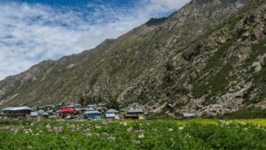 Chitkul