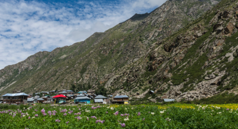 Chitkul