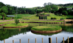 Osho Garden