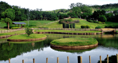 Osho Garden