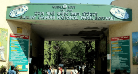 Sanjay Gandhi National Park