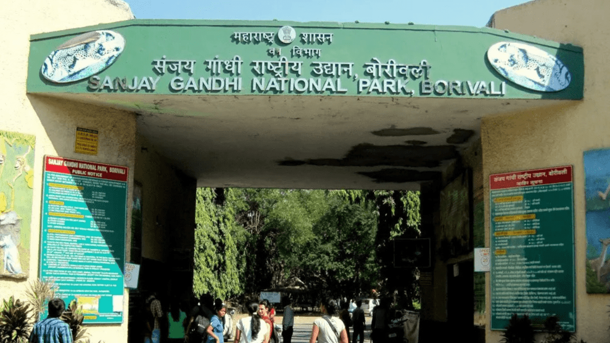 Sanjay Gandhi National Park