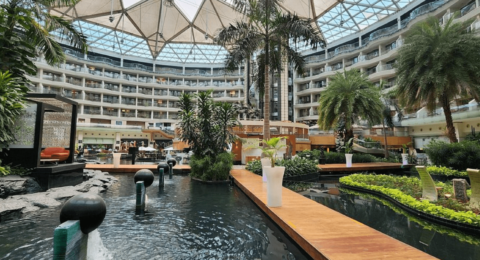 Sahara Star
