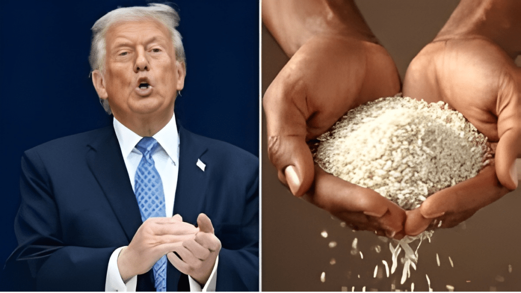 ट्रंप चावल पर टैरिफ :