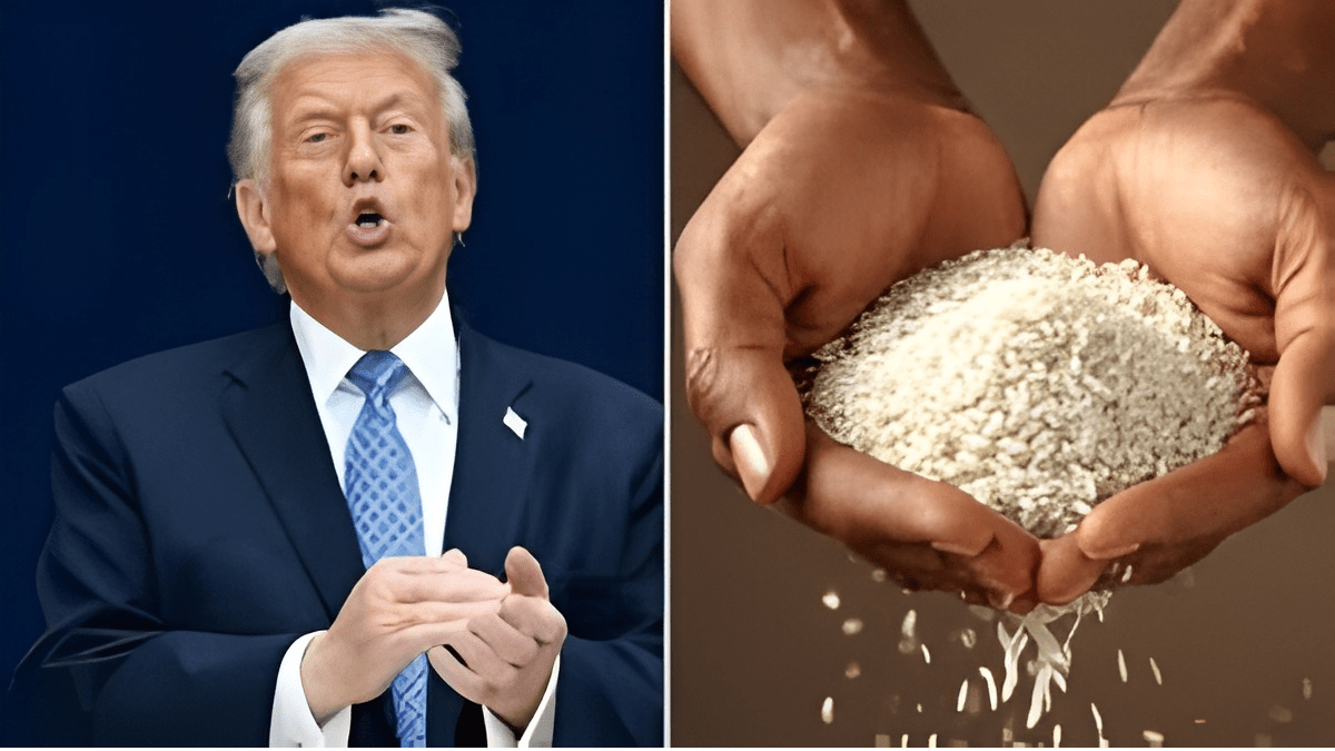 ट्रंप चावल पर टैरिफ :