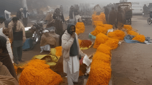 एशिया मार्केट कोहरा